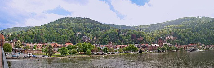 Miltenberg Panorama